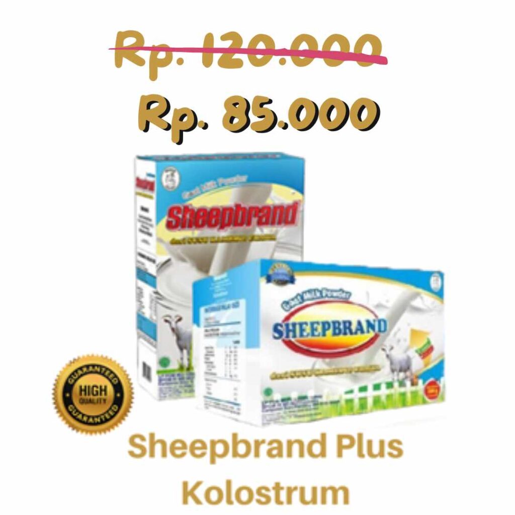 Distributor Susu Kambing Etawa Bubuk Sheepbrand Plus Kolostrum